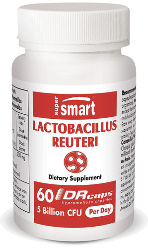 Lactobacillus reuteri 100 mg 60 caps