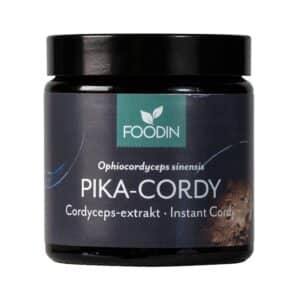 Foodin Pika-Cordy 40 g